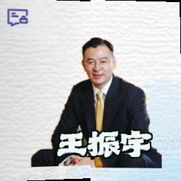王振宇